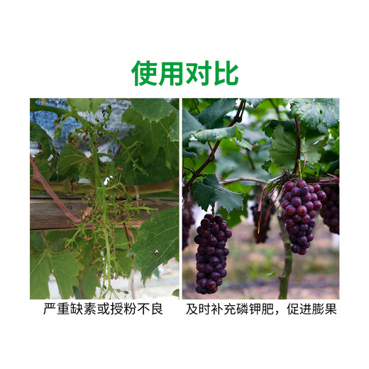 Potassium dihydrogen phosphate foliar fertilizer, flower fertilizer, vegetable instant water-soluble phosphorus and potassium fertilizer that promotes flower expansion and fruit expansion 20 kg * 5 bags (instant type)