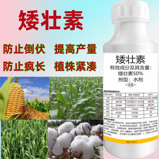 50% chlormequat to prevent leggy corn, peanut and soybean growth regulator wheat anti-lodging flower growth control agent 50g bottle