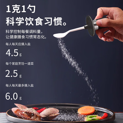 GERTHRON German stainless steel square plate tray, vegetable plate, dinner plate, barbecue plate, rice plate, iron plate, rectangular donkey hide gelatin plate, stall tray, 5 silver self-opening oil pots + 4 leather-covered open seasoning jars + 4 home-made high-end quality