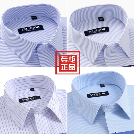 CEO官方旗舰店雅戈尔男士短袖衬衫商务休闲棉免烫职业装中老年高端抗 DP#6626 S 165/84A 38码 身高160-16