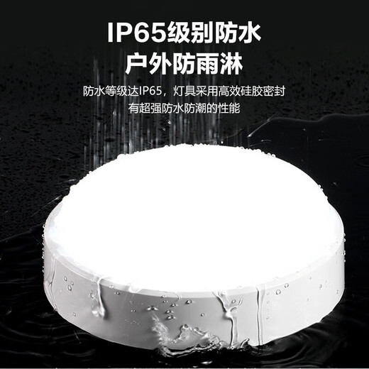 Beigong led wall lamp 20W round staircase balcony corridor outdoor IP65 waterproof ultra-bright ultra-thin ceiling lamp white light 6500K