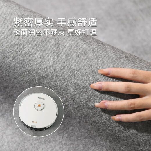 地毯客厅2024新款轻奢沙发毯免洗可擦加厚纯色床边毯灰色地垫 冬岩-16780 240cm*360cm耐磨防滑整块定制不