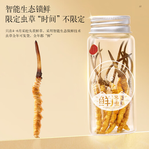 同仁堂品牌 北京同仁堂 鲜虫草冬虫夏草新鲜虫草礼盒无断草送礼送长辈 1盒 30g 2A鲜虫草50根0.6-0.8克/条