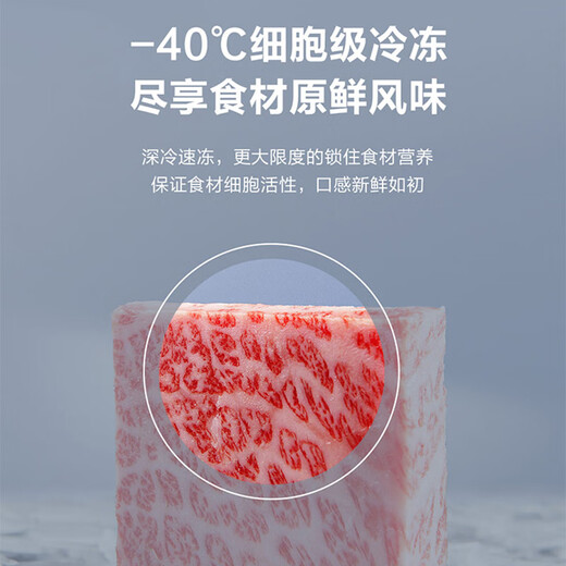 Haier (Haier) 519 liter freezer large capacity freezer - 40 degrees ultra-low temperature cryogenic quick freezing 500 liters or more horizontal freezer first class energy efficiency energy saving freezer BC/BD-519GHPC