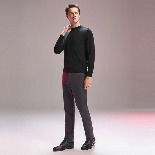 雅戈尔毛衫男全羊毛半高领羊毛衫超细毛条羊毛织物温暖舒适2025新品合款 黑色VYQW619965ABA L 105cm （推荐145-165斤）