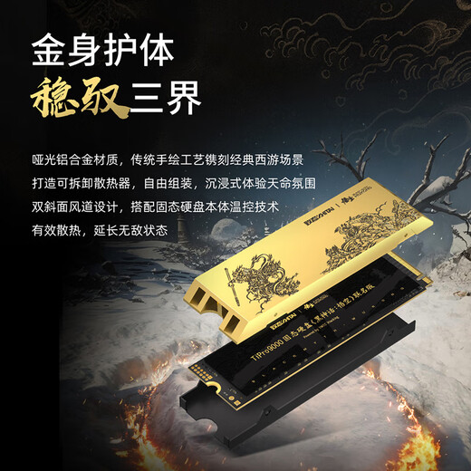 致态（ZhiTai）长江存储 4TB SSD固态硬盘 NVMe M.2接口 TiPro9000 系列《黑神话：悟空》联名版 (PCIe 5.0 产品)