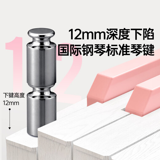 贝多辰（Beethostar）电钢琴88键力度键电子钢琴便携成人儿童幼师演奏演出专业琴 88键标准版 官方标配