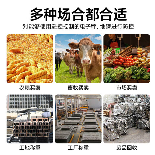 Dahui Lang Weighing Monitoring and Control Instrument Anti-Remote Control Grain Selling Anti-Pit Special Floor Scale Anti-Interference Electronic Scale Anti-Cheating A10