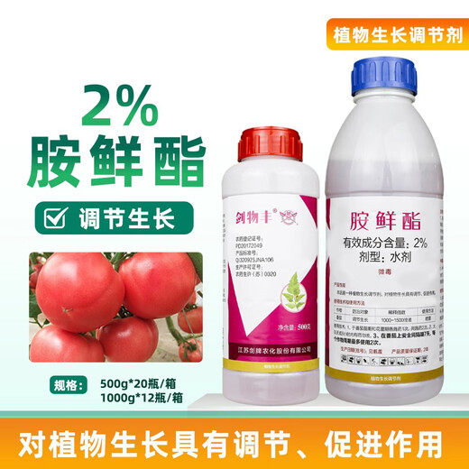 Jianpai Jianwufeng 2% amine fresh ester fat-water agent tomato tomato growth regulator plant growth regulator 500g*1 bottle