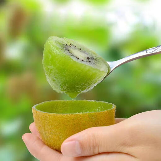 Kiwi fruit kiwi seeds green heart kiwi fruit seeds kiwi fruit seeds easy to grow and live kiwi seeds kiwi seeds three packs of about 1200 pieces