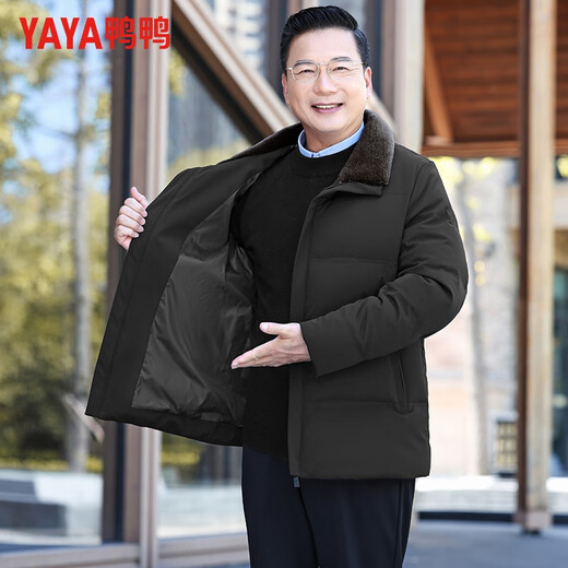 Duck Goose Down + Graphene Wool Collar Down Jacket Men's Middle-aged and Elderly Short Business Casual Dad Jacket JH Navy Blue 2XL (185/100A)