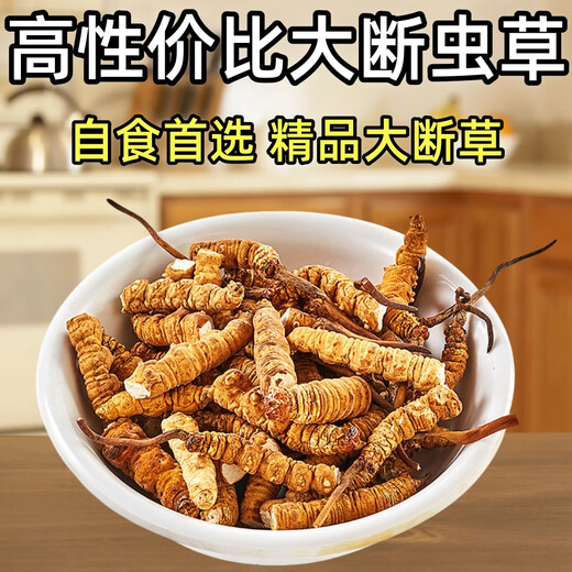 Cordyceps Sinensis крупная сломанная трава тибетская область Высококачественная скидка на самообучение Cordyceps на тот же день выставки 2025 г.
