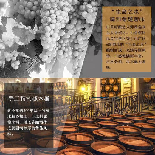 Zhenfu 40 Französisch importiert XO Brandy XO 700 ml Geschenkbox 700 ml 1 Flasche