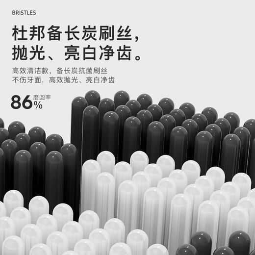 DSK电动牙刷充电款跨境成人款软毛自动声波充电式智能洁牙神器情侣款 白色【赠送8个刷头+旅行盒+支架】