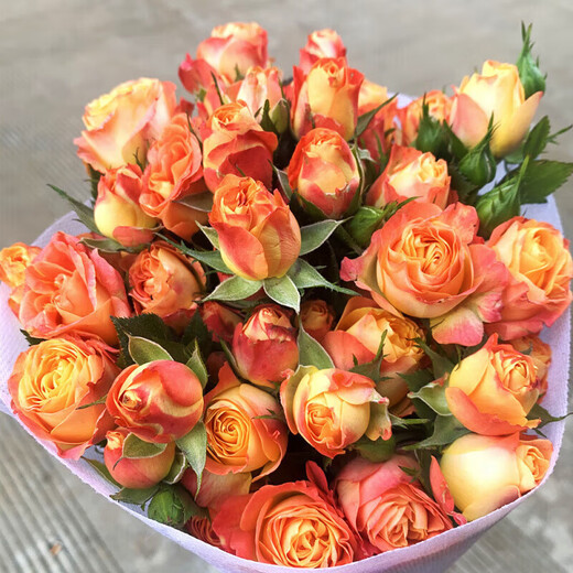 YWZR multi-headed rose flowers Yunnan base sends fresh flowers for home express office Valentine's Day bouquet Bubble rose random color 30-40 flowers + free preservative