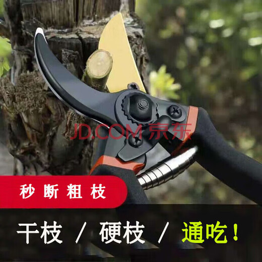 ZNMW branch cutting scissors, fruit tree pruning shears, garden thick branch pruning scissors, flower pruning shears for picking fruits, pruning shears with handle sheaths