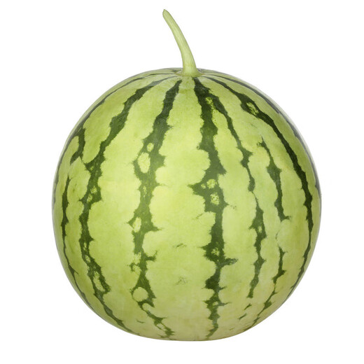 Thin-skinned rock sugar watermelon seed larvae Xinjiang Tianshan Zaojia 8424 watermelon seeds early maturing large fruit super sweet Qi anti-crack Zaojia 84-24 original 50g