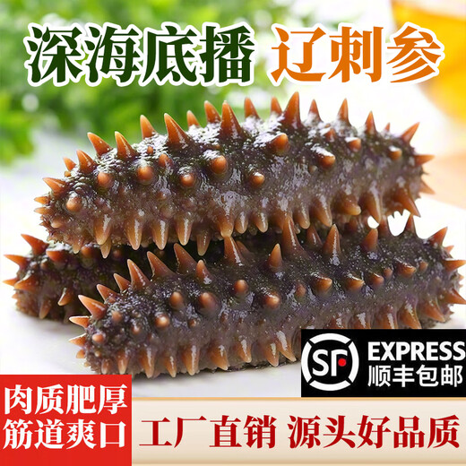 Shangyuewan ready-to-eat sea cucumber 1 Jin Jin equals 0.5 kg. Packed sea cucumber Liao sea cucumber Dalian sea cucumber net weight 500g/bag 1 Jin Jin equals 0.5 kg 7-9 heads/Jin Jin equals 0.5 kg