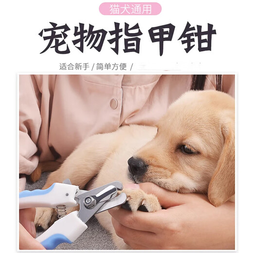 Dipur Cat Nail Clippers Pet Teddy Cat Nail Clippers Nail Clippers Small, Medium and Large Dog Nail Clippers Supplies* Blue