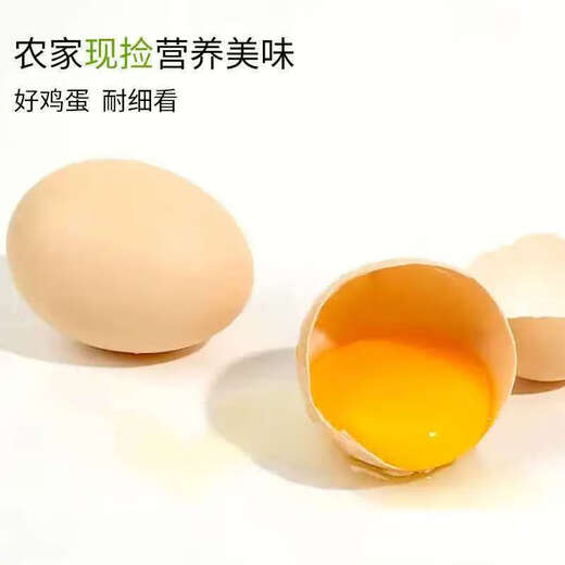 Jingxijia base direct delivery fresh eggs cereal eggs large eggs 50g fresh supermarket breakfast soft-boiled eggs express eggs 50g-10 pieces