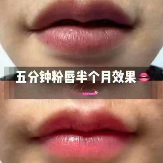 Pink Lip Cinema Cherry Blossom Pink Girly Powder Technique Set Pink Lip Three-piece Set 1 piece