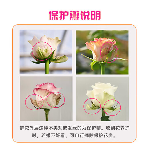 Jingdong Flowers (Yuehuaqimeng)-Kunming flower base straight hair roses lilies multi-head bouquets flowers straight hair from the source