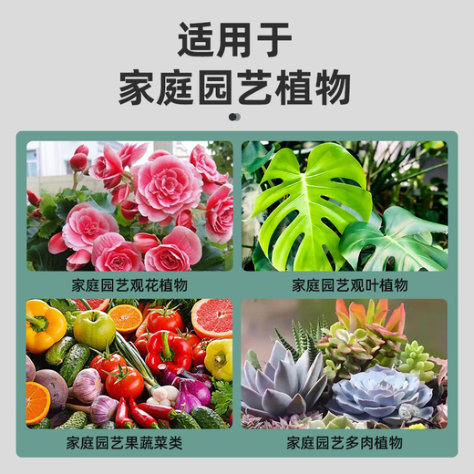 Dewoduo plant nutrient solution universal 600ml*2 bottles of hydroponic green plant flower fertilizer money tree green dill liquid fertilizer