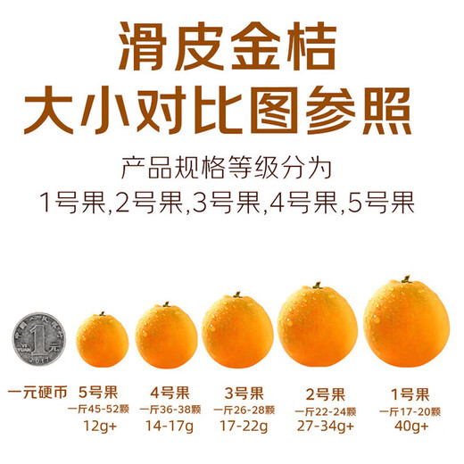 Jingmi Guangxi Rong'an second generation smooth kumquat and kumquat net weight 3Jin Jin is equal to 0.5kg, single fruit 9g + fresh fruit source direct delivery