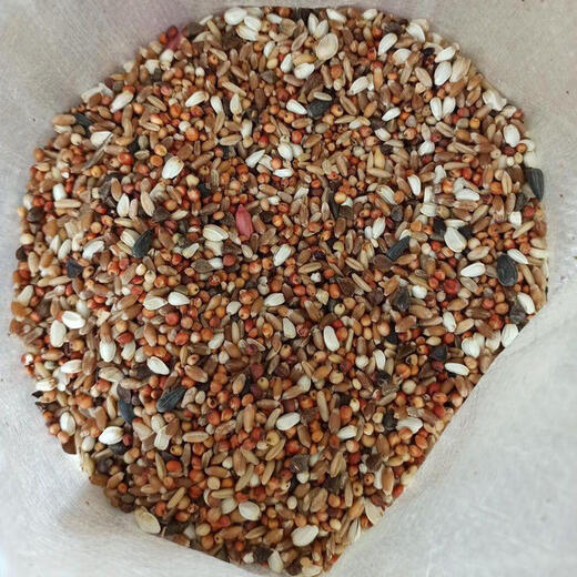 Young pigeon feed, small pigeons, corn-free, pea-free, small-mouthed pigeon nutrition, pigeon food, homing pigeon bird food, pigeon food, bird food 10Jin Jin is equal to 0.5 kg, no corn, no pea, pigeon food