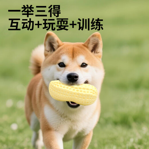 Zanpet Dog Peanut Teething Toy, Pet Interactive Boredom Relief, Milk Scent, Bite-Resistant and Scratch-Resistant Dog Training Supplies