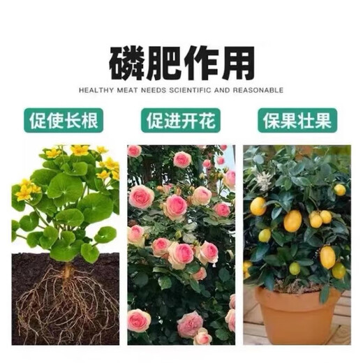 Yuntianhua Phosphate Fertilizer Flower Superphosphate Flower Fertilizer Vegetable Fertilizer Root-Strengthening Fertilizer Soil Fertilizer Chemical Fertilizer Vegetable Agricultural Fertilizer Phosphate Fertilizer Granules 30 Jin Jin is equal to 0.5 kg divided into 6 packages