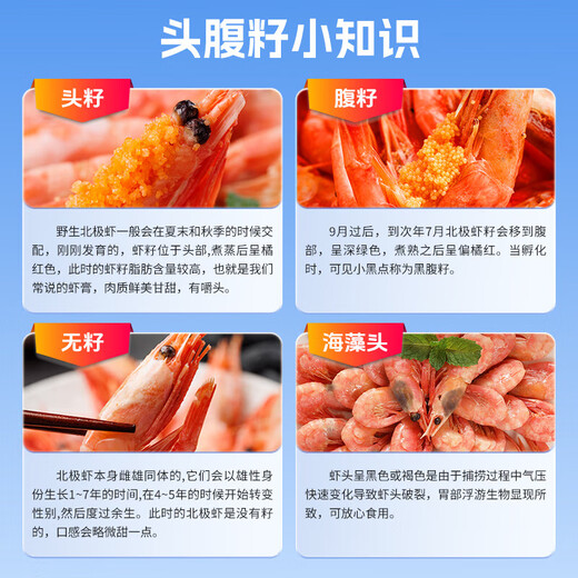 Dove Canada Arctic Sweet Shrimp Head Seed Large Cooked Frozen Ready-to-Eat Ice Shrimp Ingot Shrimp Belly Seed Sweet Shrimp Fresh Shrimp 60% Head Seed Rate Selected Head Seed Gift Box 3Jin Jin equals 0.5 kg (net weight) (90-120)