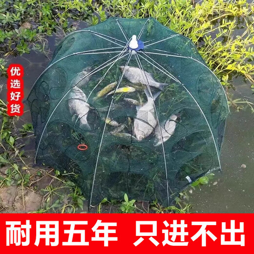 JCZS German brand folding umbrella cage fishing net fishing net cage fishing artifact only enters and exits but does not go out of the shrimp cage fishing cage fish cage ground thickening 6 holes ++ 5 packs of bait (30% of the candidates)