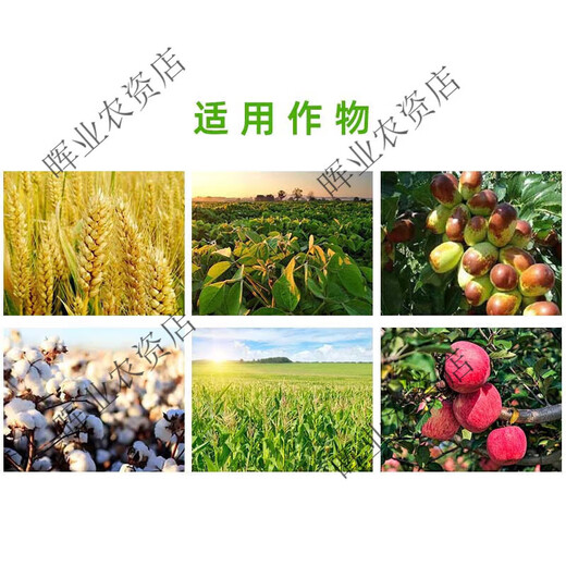 Shanggebaoying 20% Phenylpeptidine Acid Citrus Mango Preserves Flowers and Fruits and Promotes Flower Bud Differentiation Regulator Pesticide Scratch Code Delivery 500g