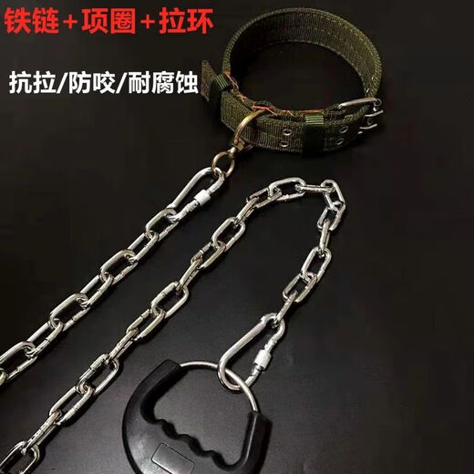 Li Haojia Dog Chain Anti-bite Iron Chain Large Dog Leash Golden Retriever German Shepherd Medium Dog Leash Native Dog Iron Chain Iron chain thickness 2.5mm recommended 15Jin Jin equals 0.5kg Inner dog 2 meters long