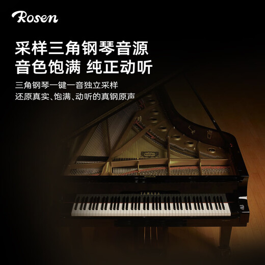 Rosen P1 electronic piano for adults, 88 keys, children's beginners' entry-level folding electric piano instrument, Star Black, Package 1, Standard