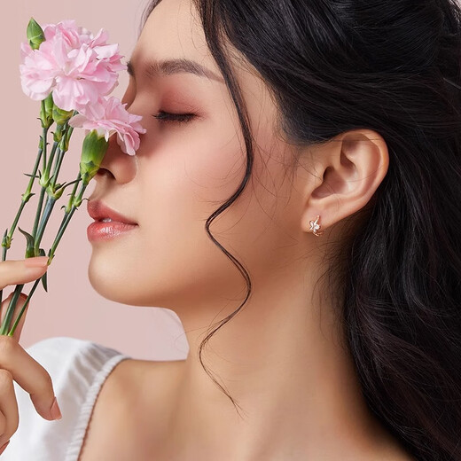 Trendy Acer 18K gold earrings for women, rose gold color gold earrings, butterfly earrings, birthday gifts for girlfriend YD