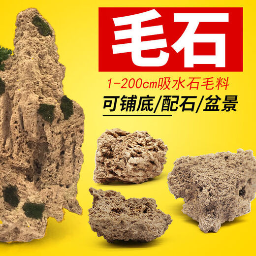 Absorbent stone raw stone wool on water stone natural rockery bonsai rockery stone landscaping stone micro landscape ornaments with stone absorbent stone powder 5Jin Jin is equal to 0.5 kg