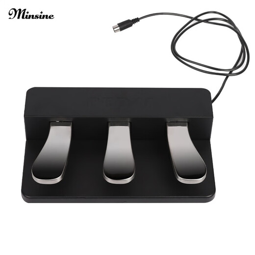 名森（Minsine）电钢琴便携式88键力度配重初学者电子钢琴成人专业电钢考级钢琴 选配升级三踏板（随琴拍下）