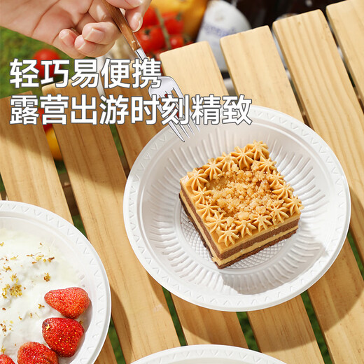 Meiya Disposable Dinner Plate Food Grade 21cm*40 Camping Picnic Fruit BBQ Cake Dip Plate