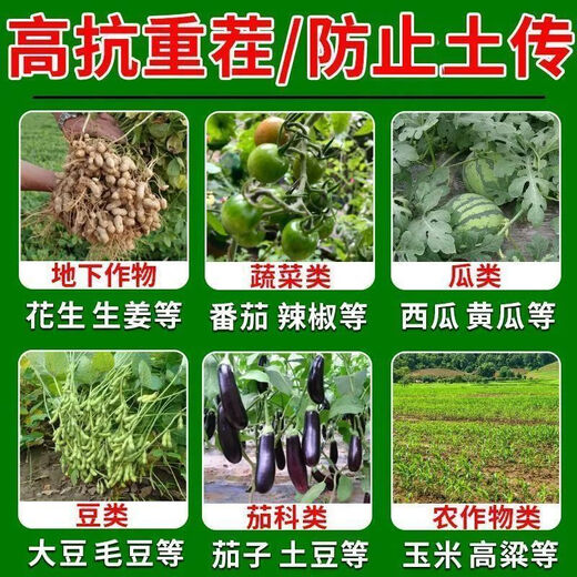 Soil-borne disease bactericide, agricultural soil fungicide, anti-repeat root rot, dead seedlings and root rot, 5 packs 500g*5