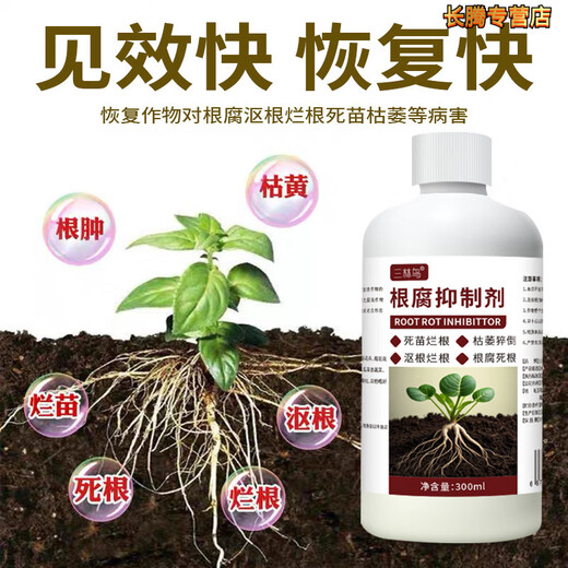 Root rot inhibitor, dead trees, stiff seedlings, disease resistance, rapid root strengthening, damping off and rotten roots, purifying soil, water-soluble fertilizer, 300ml root rot inhibitor supplement solution