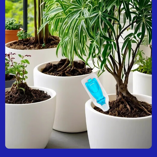 Plant Regeneration Agent Resurrection Liquid Flowers and Green Plants Potted Plants Universal Light Rod Yellowing Money Tree Succulent Growth Nutrient Solution Buy One Get One Free Limited Time Event 2 boxes of 12 pieces in total