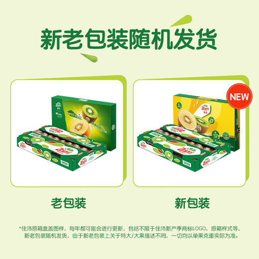 Zespri Green Kiwi Extra Large Fruit 22-25 Original Box Single Fruit Approximately 133-176g Kiwi Fruit