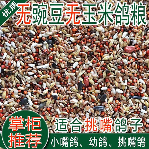 Young pigeon feed, small pigeons, corn-free, pea-free, small-mouthed pigeon nutrition, pigeon food, homing pigeon bird food, pigeon food, bird food 10Jin Jin is equal to 0.5 kg, no corn, no pea, pigeon food