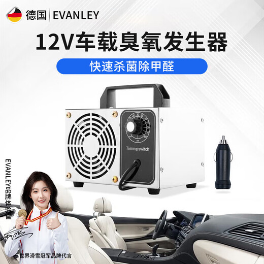 EVANLEY German ozone generator sterilizer household air purifier industrial food factory car sterilization and formaldehyde removal 12V car 5g (cigarette lighter interface)