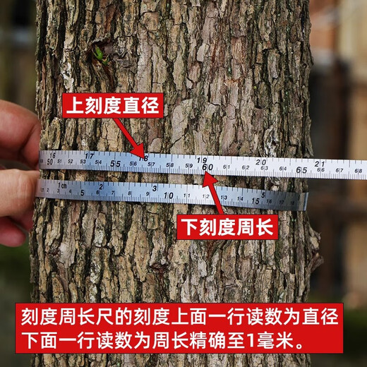 JAENS stainless steel tree circumference ruler, tree circumference ruler, diameter ruler, household mini chest diameter ruler, waist circumference ruler, 2-meter tape measure, steel circumference ruler, upgraded 2-meter stainless steel ruler belt