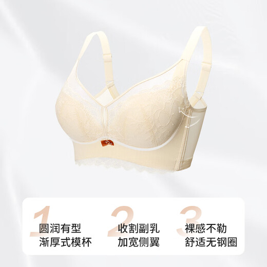 贵夫人小胸聚拢显大蕾丝内衣女优雅无钢圈收副乳调整型透气网纱文胸胸罩 黑色 85B /38