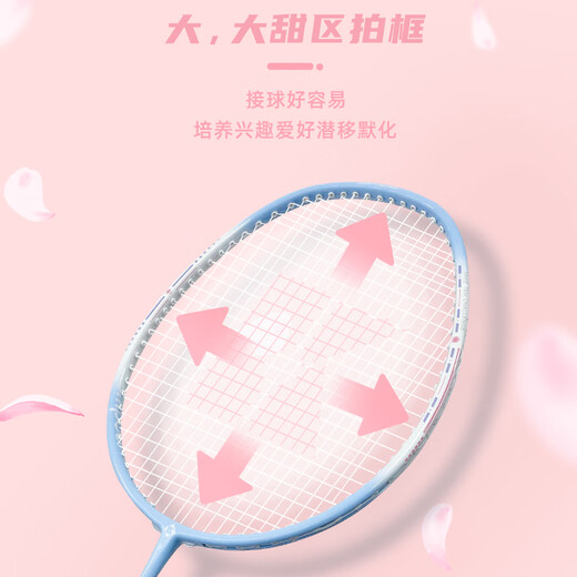 薰风（KUMPOO）羽毛球对拍超轻耐用熏风k520pro入门初学训练拍KA-111白色+蓝色