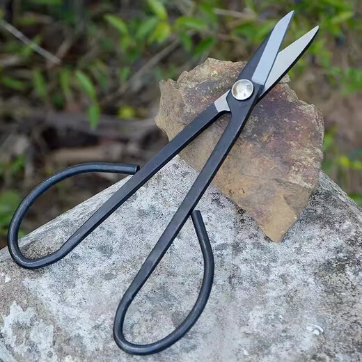 HONGDA garden shears, pruning shears, leaf bud scissors, potted garden scissors, bonsai flower shears, pruning tools, forged tree bud shears, manganese steel leaf bud shears, 1 pair